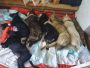 IMG 20240706 WA0014