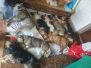 IMG 20240706 WA0031