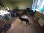 IMG 20241210 WA0019