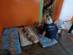 IMG20240816143955