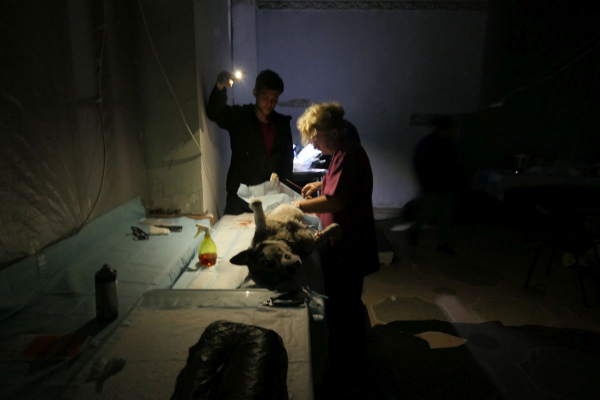 OP bei Handylicht1
