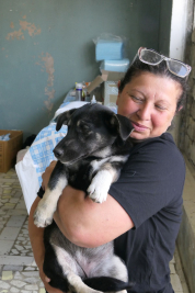 Hund aus Saidas Tierheim