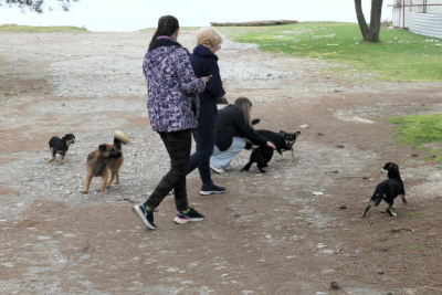 Zurück bei der Familie am Strand